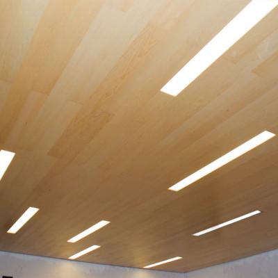 Techo Modelo Fernando